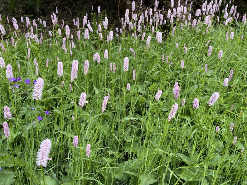 22-05-29 14-51-43 0991